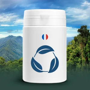 MSM - Sachet de 500 g en poudre - GPH Diffusion - product information 4