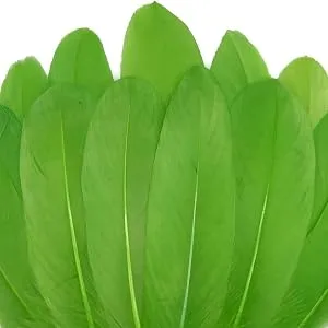100pcs Red Goose Feathers 6-8 Inch for Crafts Wedding Party Decorations Clothing Hats Accessories Dream Catchers Making - green