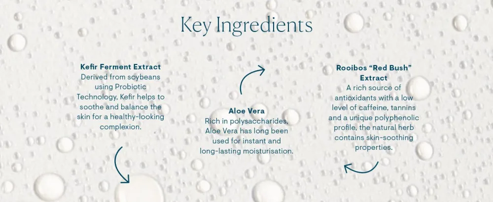ELEMIS Superfood Kefir Tea Mist  Priming  Toning  and Setting Facial Spray  3.3 Fl Oz - Key Ingredients