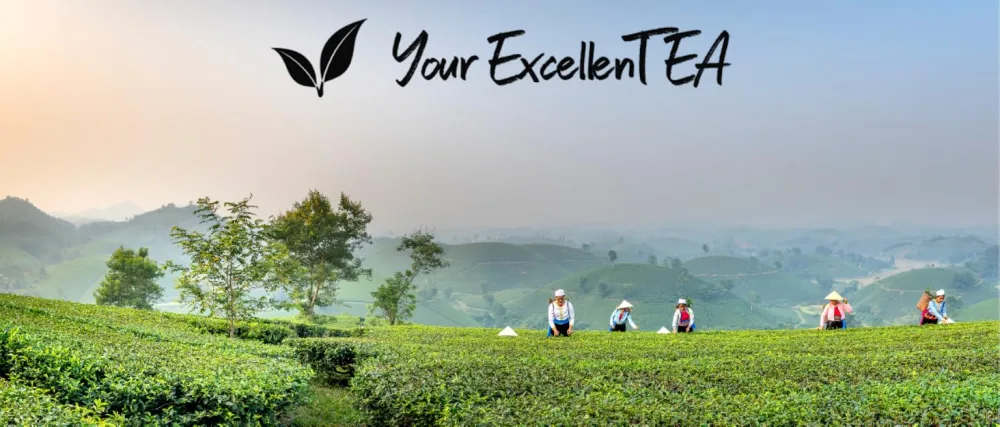Your ExcellenTEA Earl Grey Blue Loose Leaf Black Tea Bergamot Ceylon Black Tea with Cornflower Petals Floral Earl Grey Blend - 250g  - product information 9
