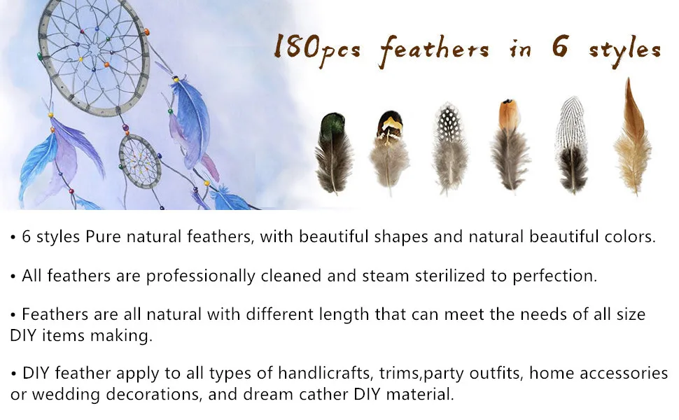 180pcs 6 Style Natural Feathers Assorted Mixed Feathers for Dream Catcher Crafts Decoration (6 Styles/180 Pcs) - product information 1