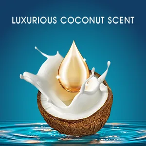 Head & Shoulders Shampoo and Conditioner Set  27 fl oz OLD Version - LUXURIOUS COCONUT SCENT