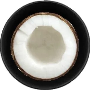 GENTS BATH BOMBS NEW - Coconut oil