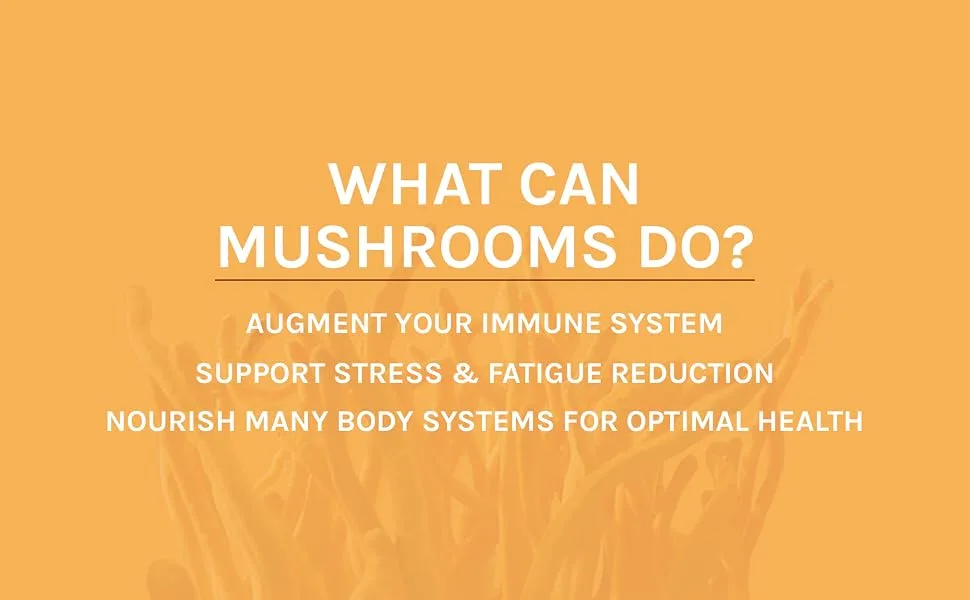Host Defense  Cordyceps Powder  Supports Energy  Stamina and Athletic Performance  Mushroom Supplement  3.5 oz  Plain - cordyceps