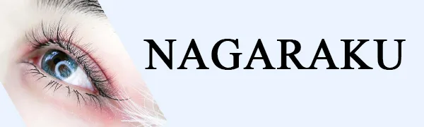 NAGARAKU Eyelash Extension Storage card Premade fans Volume lash Storage 2mm Sticky Strip False Eyelashes Paper Card (20 Sheets with 1 roll Tape) - brand