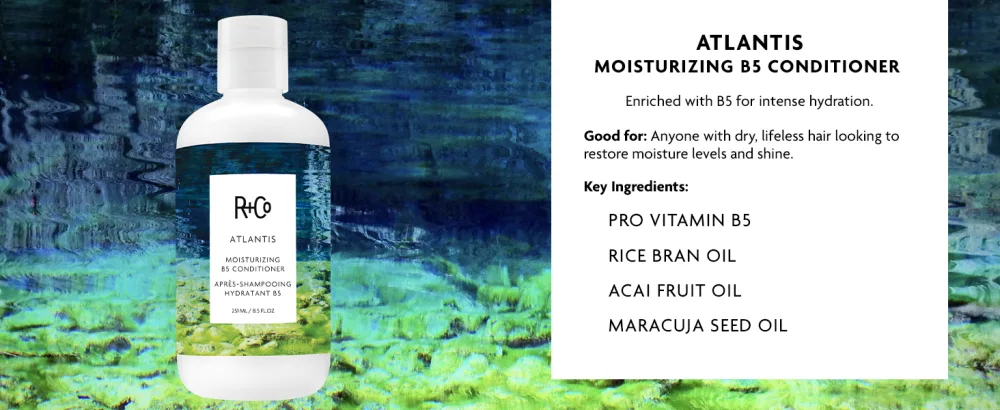 R+Co Atlantis Moisturizing B5 Conditioner 8.5 Ounce - Atlantis Moisturizing B5 Conditioner