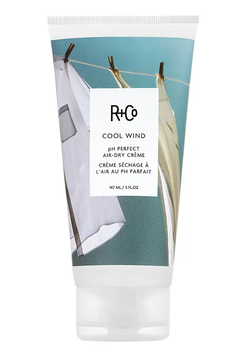 R+Co Centerpiece All-In-One Elixir Spray Travel | Hydrating + Fortifying + Repair | Vegan + Cruelty-Free | 1.5 Oz - Cool Wind Comp Chart Desktop