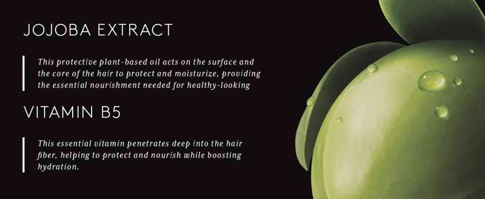 Rene Furterer Style Sculpting Mousse Provides Long-Lasting Natural Volume Using Vegetal Jojoba Extract  For All Hair Types  Silicone-Free  Vegan  6.8 fl. oz. - Rene Furterer