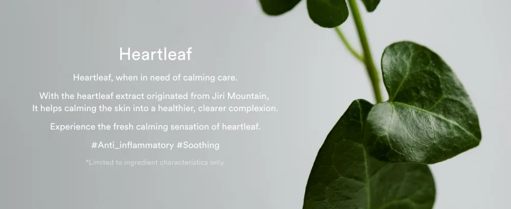 Abib Heartleaf Essence Calming Pump 1.69 fl oz / 50ml I Essence for Face  Instant Relief for Redness - Heartleaf