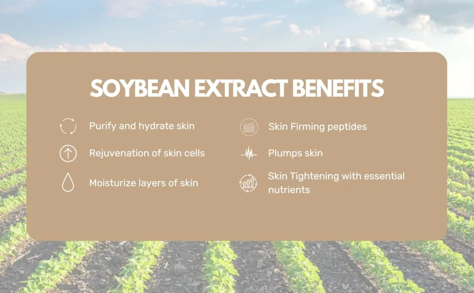 ROUND LAB Soybean Nourishing Cream 80ml - Soybean Serum