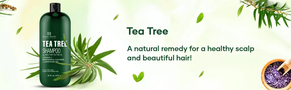 Botanic Hearth Tea Tree Shampoo  Vitamin C  Peppermint  Lavender and Rosemary Oil  Fights Dandruff and Dry Scalp  16 fl oz - tea tree shampoo