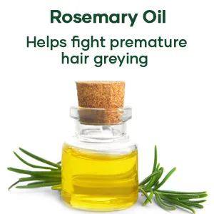 Botanic Hearth Tea Tree Shampoo  Vitamin C  Peppermint  Lavender and Rosemary Oil  Fights Dandruff and Dry Scalp  16 fl oz - tea tree shampoo