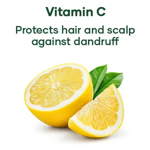 Botanic Hearth Tea Tree Shampoo  Vitamin C  Peppermint  Lavender and Rosemary Oil  Fights Dandruff and Dry Scalp  16 fl oz - tea tree shampoo