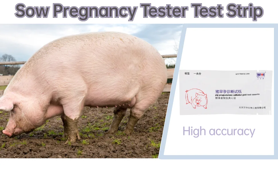 Pig Pregnancy Test Sow Pregnancy Tester Test Strip Pig Pregnancy Diagnosis Tester Test Strip - product information 2