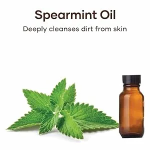 Botanic Hearth Tea Tree Liquid Hand Soap - Sulfate Free Formula - Multi Purpose Hand Wash with Aloe Vera and Therapeutic Grade Tea Tree Oil  Pump Dispenser - 16 fl oz - Tea tree hand soap