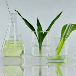 Ecoslay Jello Shot - Slather Mindfully