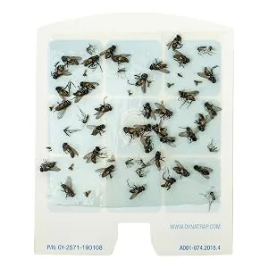 DynaTrap 23005-06 DOT StickyTech Replacement Glue Cards - Cloud - What we Catch