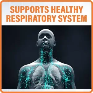 10 in 1 Immune Support Supplement - Dr. Approved with Vitamin C  Zinc  Elderberry  Echinacea  Turmeric  Probiotics- Immunity Booster for Multi-System Immune Defense & Respiratory Supplement - supports healthy respiratory system