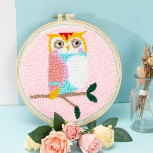 Maydear Punch Needle Starter Kit for Beginner Cartoon Rug Hooking Beginner Kit  with an Embroidery Pen and 9.8'' Hoop - Owl Couple - Various patterns