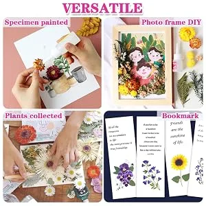 Vignee Real Dried Pressed Leaf Flowers-Multiple Colorful Pressed Flowers Daisies for Craft Resin Jewelry Making Art Craft DIY(Violet) - Art Craft DIY