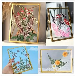 Vignee Real Dried Pressed Leaf Flowers-Multiple Colorful Pressed Flowers Daisies for Craft Resin Jewelry Making Art Craft DIY(Violet) - Dried Pressed