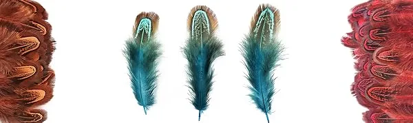 50 pcs Natural Pheasant Plumage Feathers 2-3 Inches Plumage Feathers for Sewing Crafts Clothing Decorating Accessories -Blue - craft feathers