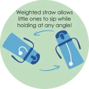 Stephen Joseph  Stainless Steel Double Wall Bottle with Handles and Weighted Straw  Training Cup  Sloth - straw