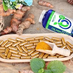 BioTrust Ageless Turmeric  CurcuWIN Turmeric Extract  46x More Bioavailable  High Absorption Long Lasting Curcumin with Ginger Extract  Healthy Inflammation and Antioxidant Support (60 Capsules) - Turmeric