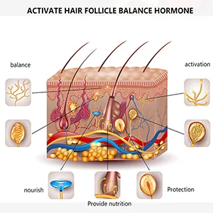 AN BAILIHUA beard growth kit (sandalwood) - beard oil