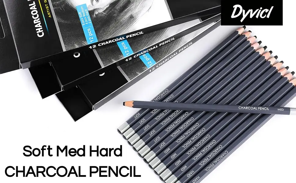 Dyvicl Professional Charcoal Pencils Drawing Set - 12 Pieces Soft  Medium & Hard Charcoal Pencils for Drawing  Sketching  Shading  Artist Pencils for Beginners & Artists - charcoal pencils for drawing charcoal pencil charcoal pencils charcoal for drawing
