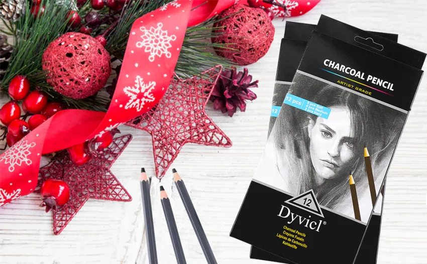 Dyvicl Professional Charcoal Pencils Drawing Set - 12 Pieces Soft  Medium & Hard Charcoal Pencils for Drawing  Sketching  Shading  Artist Pencils for Beginners & Artists - drawing pencils drawing media Sketching Pencils Graphite sketch book,shading pencil, artist pencil