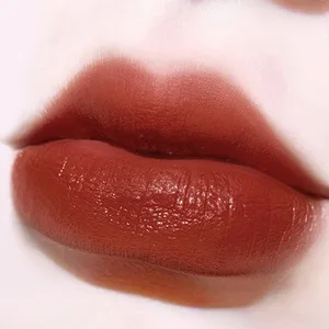 Gireatick Long Lasting Matte lipstick in Velvety Red  Unique Violin Appearance Design  Waterproof Durable Mist Liquid Lipstick with Gift Box - matte lipstick