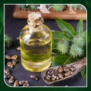 Himalayan Organics Cold Press - 100% Pure - Castor Oil for Stronger Hair  Skin & Nails - 200 ml - product information 3