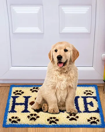 Latch Hook Kits Rug for Home Decoration Pre-Printed Canvas Latch Rug Hook for Adults 23.6x15.7 (Pre-Printed Canvas) - latch hook kits