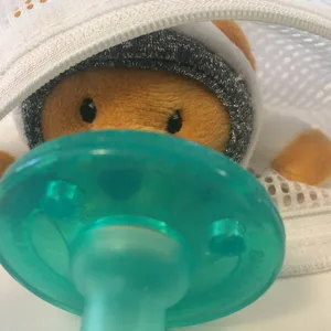 Mary Meyer WubbaNub Infant Pacifier  6-Inches  Pebblesaurus Dinosaur - wubbanub bear infant baby pacifier