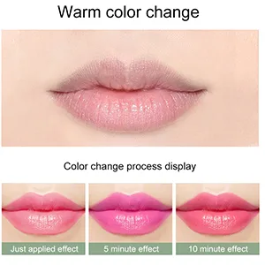 Amazfly 2 Pcs Aloe Vera Lipstick  Clear Jelly Lipsticks  Magic Temperature Color Change Lipstick Lip Blam Moisturizing Long Lasting Lip Makeup (2Pcs) - product information 2