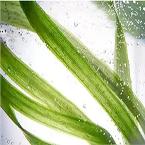 BEUKING Face Camomile Peeling Gel Deep Cleansing Moisturizing Smoothing Gentle Exfoliating Remove Dirt Tighten Pores Improving Face Skin - product information 8
