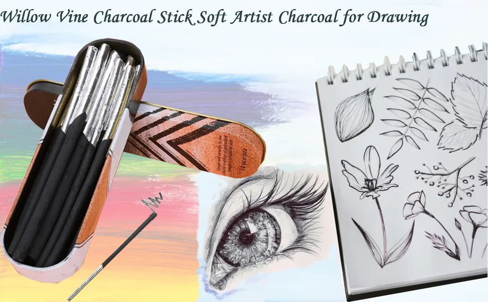 10pcs Vine Charcoal Sticks Willow Artist Soft Charcoal Pencil Sticks Drawing Art Set in Tin Box  4 Sizes Charcoal Drawing Chalks Art Medium for Sketching  Drawing  Shading - Willow Vine Charcoal Stick Soft Artist Charcoal for Drawing
