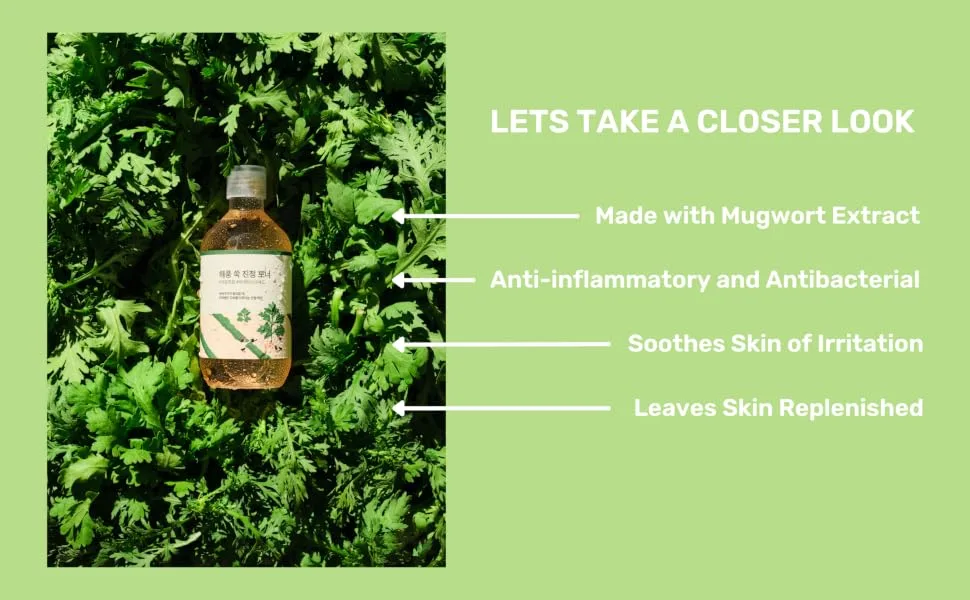 ROUND LAB Mugwort Calming Toner | Redness calming  Provide a skin refresh  Madecassoside  Soothing  Water type toner (10.1fl.oz) - Mugwort Toner