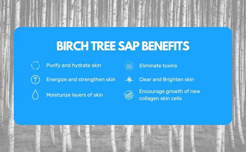 ROUND LAB Birch Juice Moisturizing Pad 80pcs / Aquaxyl  Soothing Adhesion  Moisturizing Pad - Birch pad