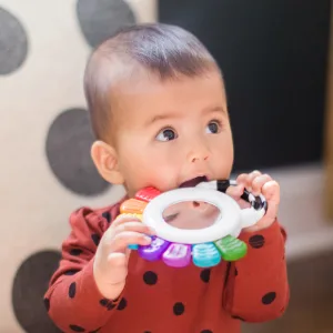 Baby Einstein Outstanding Opus The Octopus Sensory Rattle & Teether Multi-Use Toy  BPA Free & Chillable  3 Months & up  Multicolored - unspecified