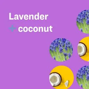 Everyone Liquid Hand Soap Refill  1 Gallon  Lavender and Coconut  Plant-Based Cleanser with Pure Essential Oils - EVO - Apricot and Vanilla