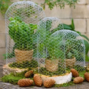 DoubleWood Chicken Wire Net for Craft Projects 3 Sheets Galvanized Hexagonal Wire Mesh Fence 13.7 Inches x 40 Inches Mesh10 Feet (13.7 x 40 Inches - 3 Sheets) - hicken Wire Net for Craft Projects,3 Sheets Galvanized Hexagonal Wire Mesh Fence