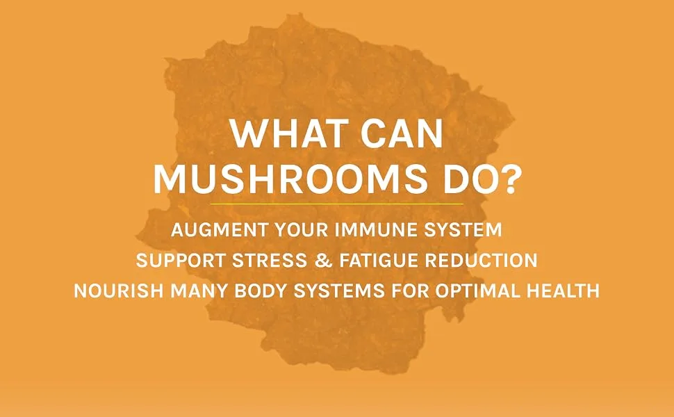 Host Defense  Chaga Powder  Antioxidant Support  Mushroom Supplement  3.5 oz  Plain - What can mushrooms do?