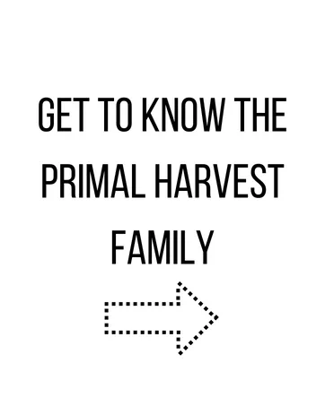 Primal Harvest ACV Gummies  60 Sugar Free Apple Cider Gummies Beetroot and Pomegranate to Support Immunity  Digestion and Detox 750 MG - module 2