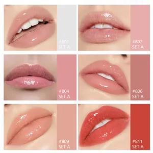 MAEPEOR Shiny Lipgloss Set 6PCS Smooth Moisturizing Lip Gloss Neutral Nude Nourishing Glossy Lipgloss (6PCS Set B) - Shiny Lipgloss Set 6PCS