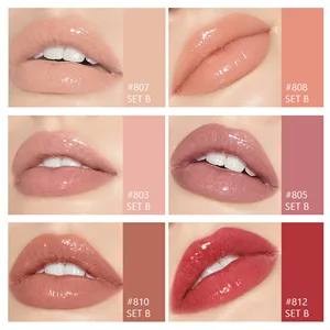 MAEPEOR Shiny Lipgloss Set 6PCS Smooth Moisturizing Lip Gloss Neutral Nude Nourishing Glossy Lipgloss (6PCS Set B) - Shiny Lipgloss Set 6PCS