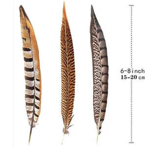 Flying Feathers Natural Pheasant Feathers 4 Style 15-20cm 12pcs Natural Feathers for DIY Craft Home Party Decorations FF03  - product information 2