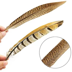 Flying Feathers Natural Pheasant Feathers 4 Style 15-20cm 12pcs Natural Feathers for DIY Craft Home Party Decorations FF03  - product information 3