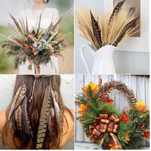 Flying Feathers Natural Pheasant Feathers 4 Style 15-20cm 12pcs Natural Feathers for DIY Craft Home Party Decorations FF03  - product information 4